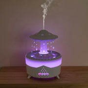 Raindrop Humidifier