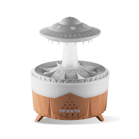 Raindrop Humidifier